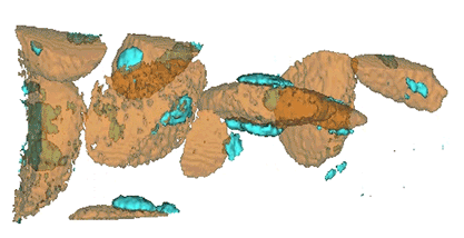 Atom probe tomography for additive manufacturing part 2